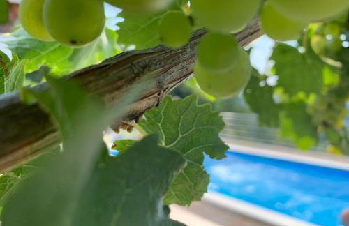 Elizabeta Holiday Home - Foto 31