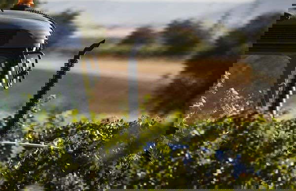 Visita a Eme Bodegas - Foto 5