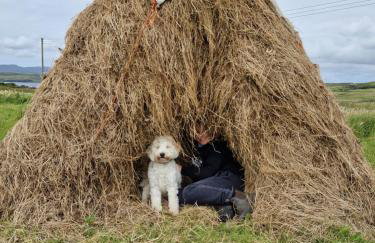 Ornum Self Catering Cottage - Foto 42