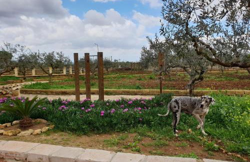 Agriturismo Duca Di San Martino - Foto 53