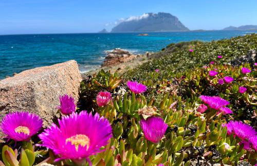 Villa Alzoni - Foto 13