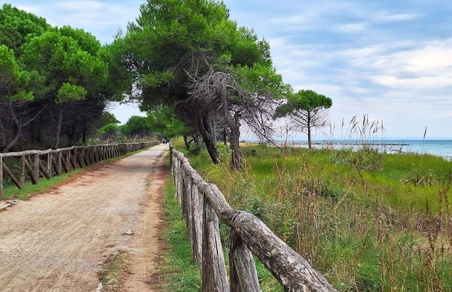 Lovely Flat With Private Garden Next to the Beach - Foto 9