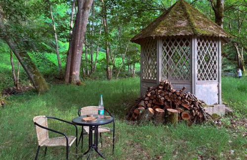 Domaine de la Jasseix - Photo 33