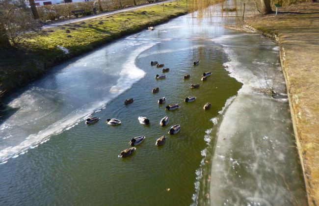 Holiday Home Christmann - Foto 25