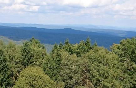 Ferienwohnung Talgrund "Im Grünen" - Foto 27