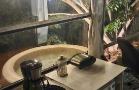 Onibus Casa VNI - Foto 13