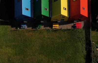 Hector's Row - Foto 65