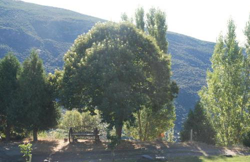 Cortijos Rey Fini - Foto 37