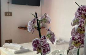 Matta e Sole - Foto 25