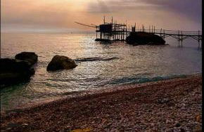 L'uliveto sui Trabocchi - Foto 31