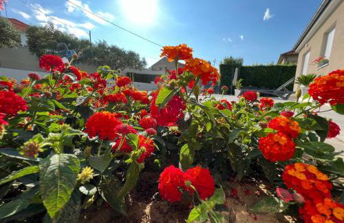 Tony's house in garden - Photo 40