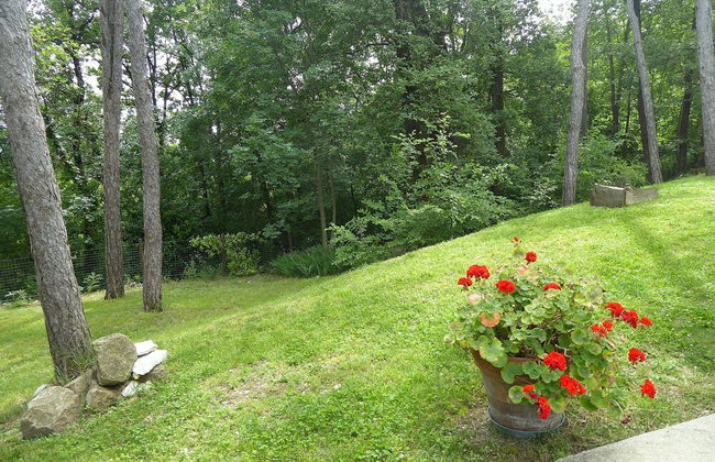 Casa Delle Eriche, Colli Euganei, Pool, Wifi - Foto 46