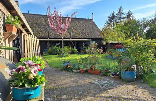Ferienhaus An der Heide - Foto 1