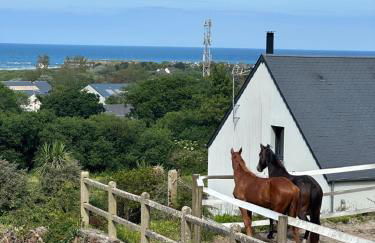Vue mer Andalouse du Capitaine - Foto 26