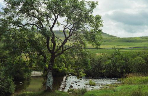 Our Holiday House Yorkshire, Ingleton - children and doggy friendly - Foto 47