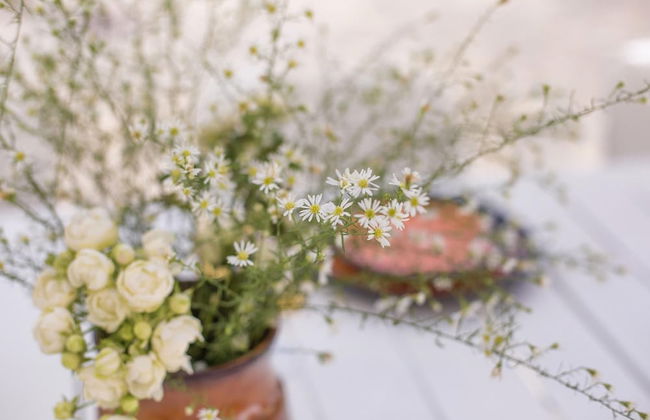 Residence Bosco - Villa Il Noce - Foto 9