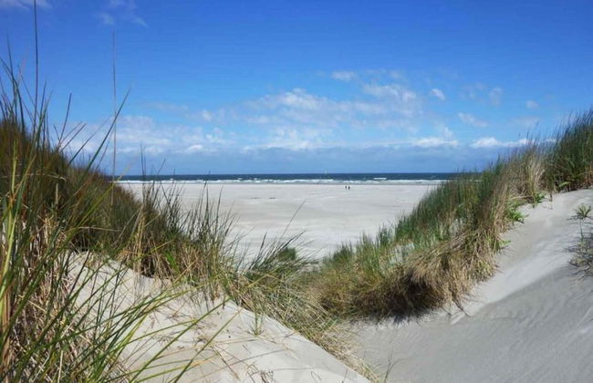 Beachside Escape w/ Terrace - Foto 26