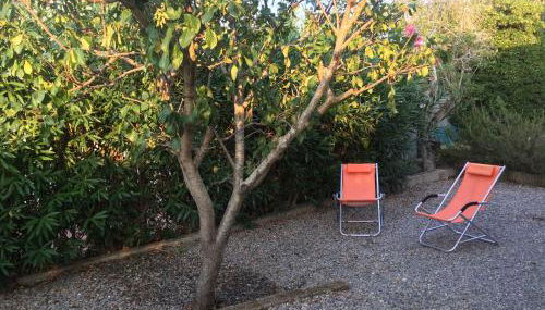 Apt. Calanchiole by SolturElba - Foto 3, Garden