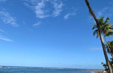 Suite 2 Térrea Taipu de Fora - Foto 18