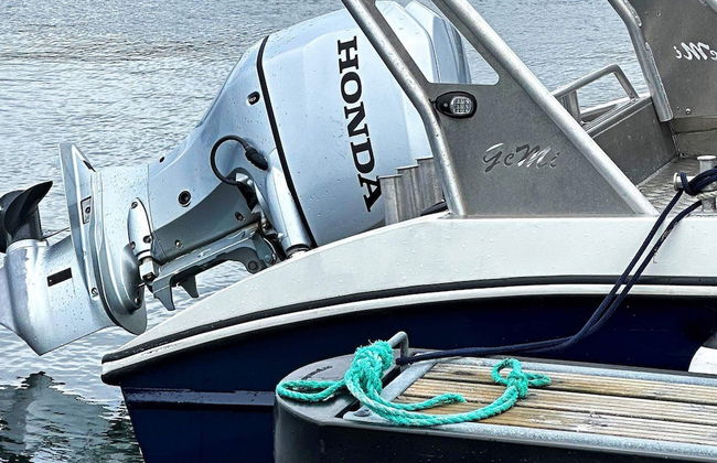 3 Person Holiday Home in Oksvoll - Foto 15