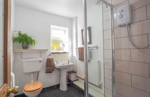 Tanyfron Llangrannog - Photo 14