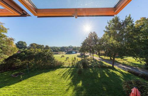 Butterblume DG - Foto 1