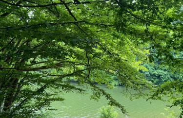 SEA Office - Modernes Ferienhaus mit tollem Seeblick - Foto 22