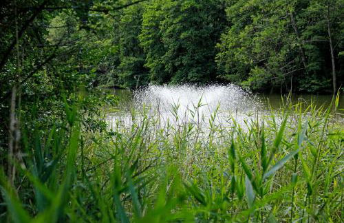 Ferienwohnung Sommerlinde - Foto 22