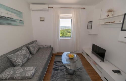 Apartments Srdanovic - Photo 22