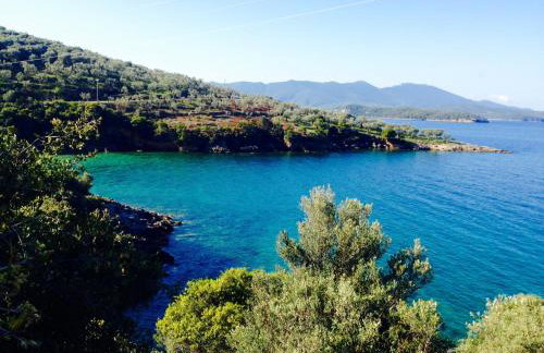 Giorgios Studio - Foto 41