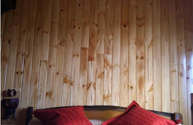 Costa del Sol Iguazú - Photo 24