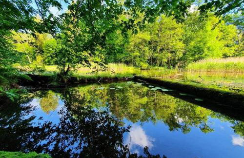 Mazurska Łąka - Foto 27