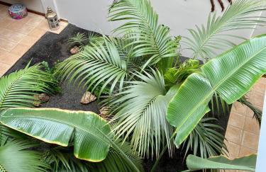 Casa Tegue - Foto 14