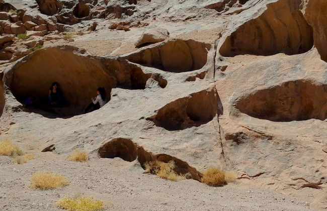 Day Trip to the Huasco Salt Flats + Tambillo - Photo 6
