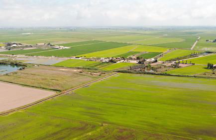 CALITO DEL DELTA - Foto 21