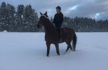 Pfaffensteghof - Foto 20