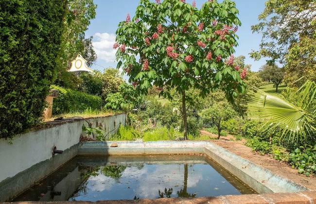 Rustic Alentejo Farmhouse With Pool - Foto 28