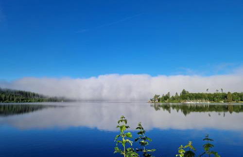 Altes Zollhüsli - Foto 10