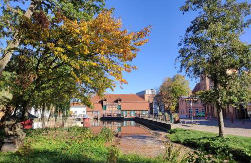 Ferienhaus am Mühlenteich - Foto 8