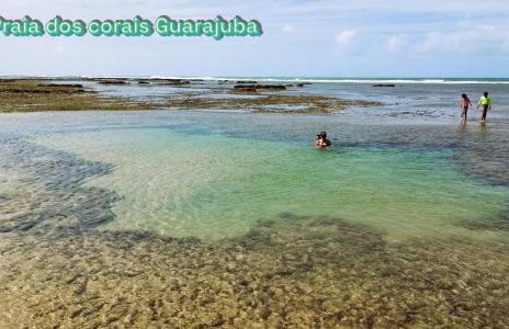 Condomínio Ecoville das Mangueiras Região de Praia de Guarajuba - Foto 22