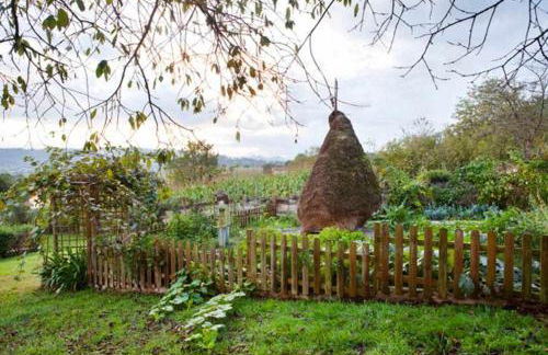 El Pedrueco turismo rural - Foto 62