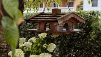 Geisbergerhof - Foto 5, Garden