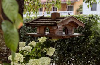 Geisbergerhof - Foto 5