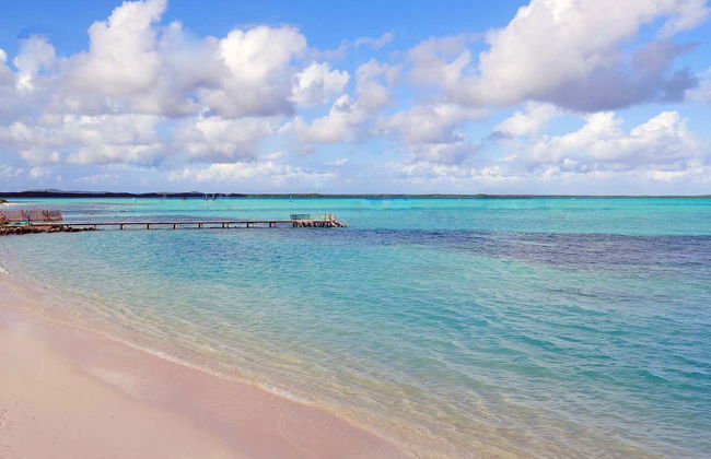 Tour del sud di Bonaire - Foto 7