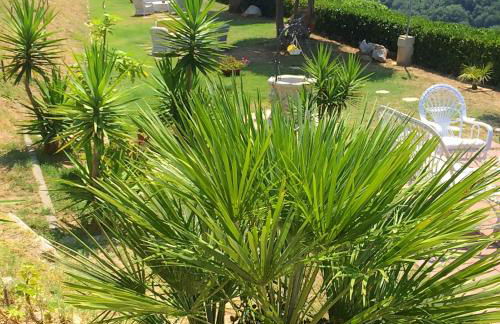 Villa Del Conte - Foto 24