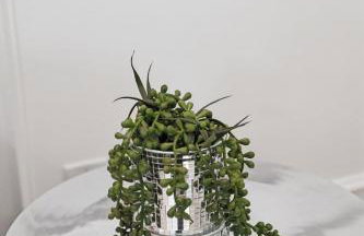 Heated Pool Oasis Close to Attractions - Foto 41