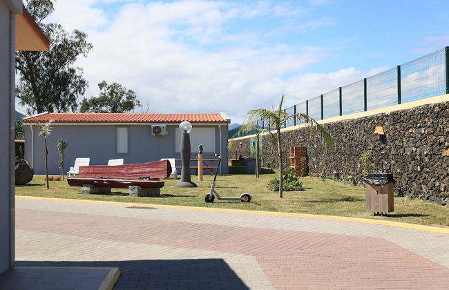 Parrots Village - Foto 30