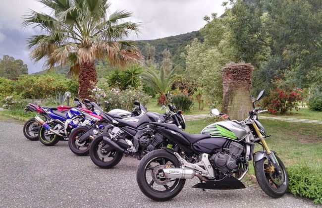 Il Casale delle Arance - Foto 29