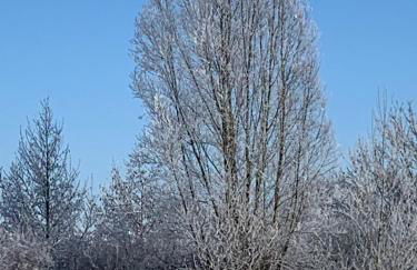 Wohlfühl Appartments - Foto 27