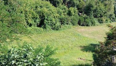 Tabernacolo - Foto 5